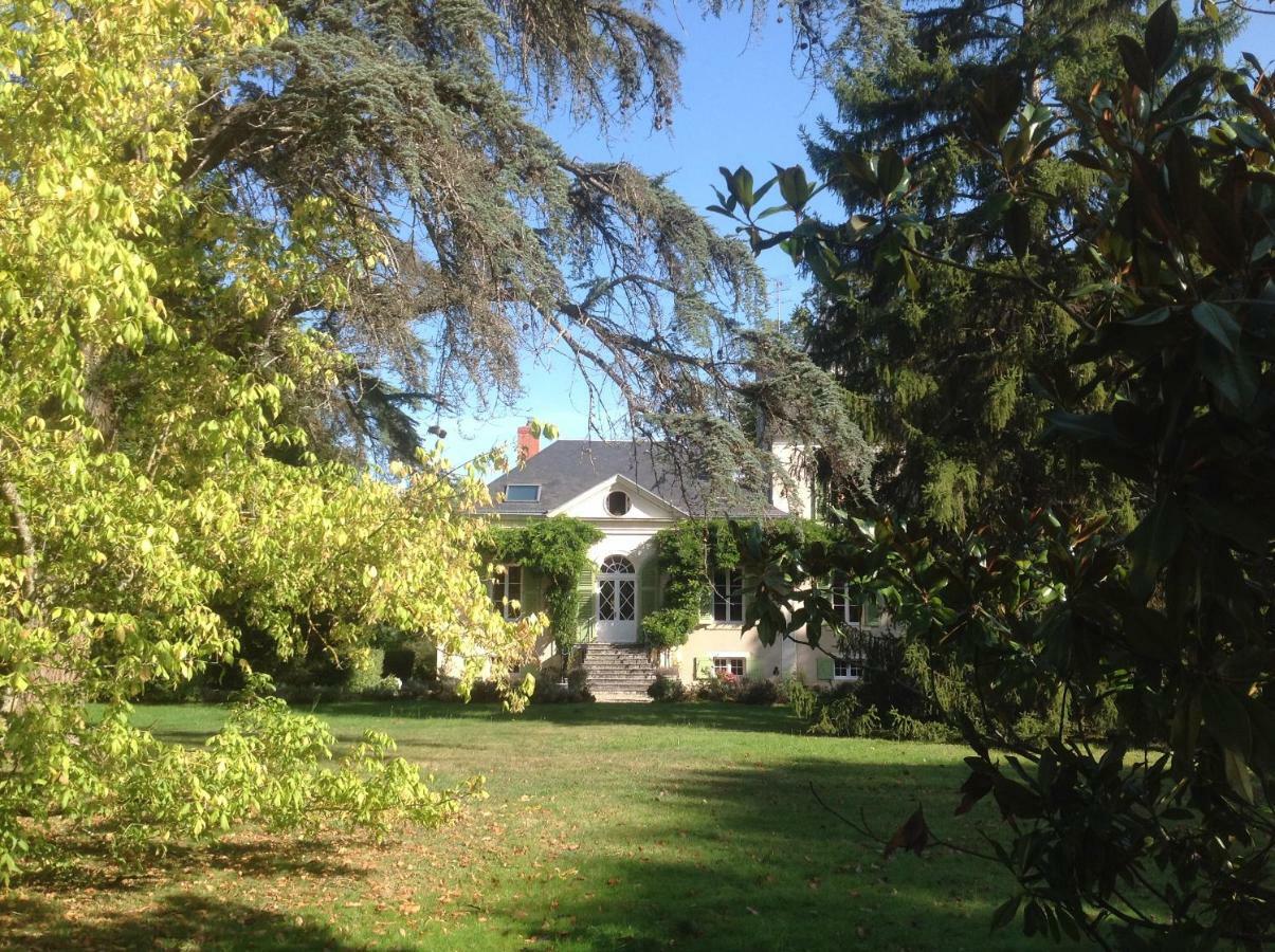 Chateau De La Villette Ardentes Екстериор снимка