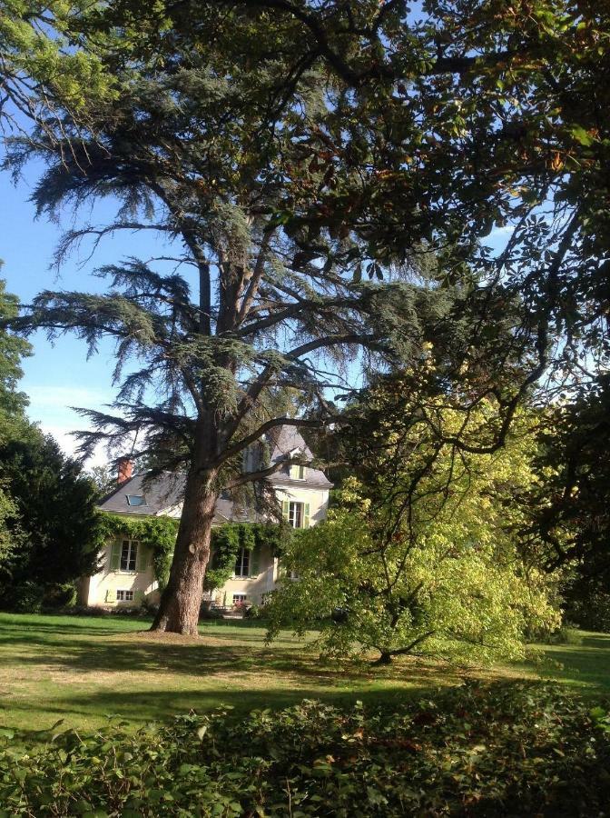 Chateau De La Villette Ardentes Екстериор снимка