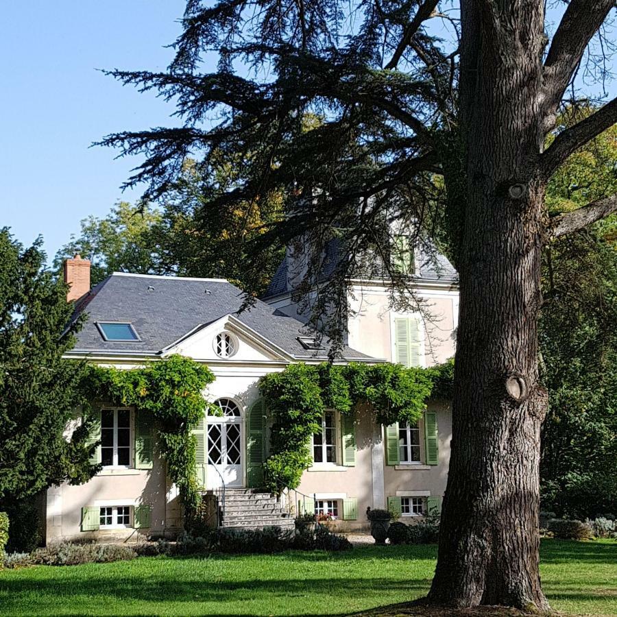 Chateau De La Villette Ardentes Екстериор снимка
